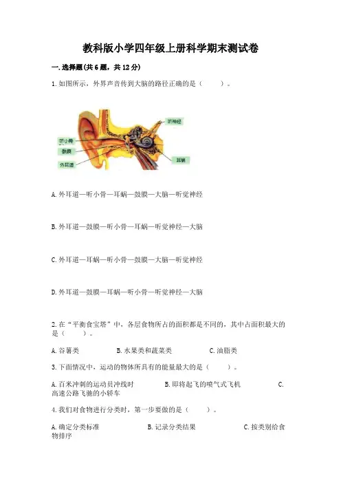 教科版小学四年级上册科学期末测试卷附参考答案(完整版)