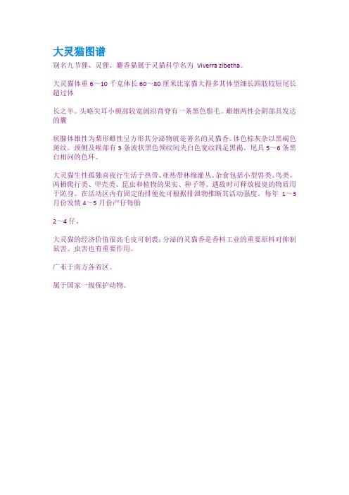 大灵猫图谱