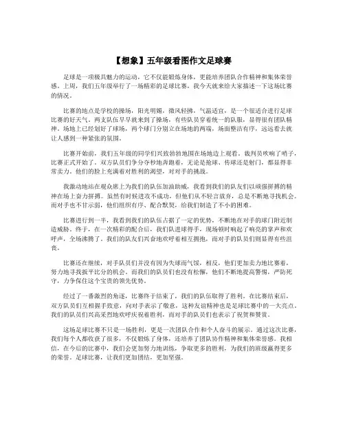 【想象】五年级看图作文足球赛