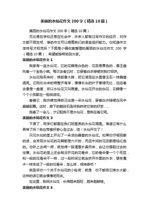 美丽的水仙花作文200字（精选10篇）