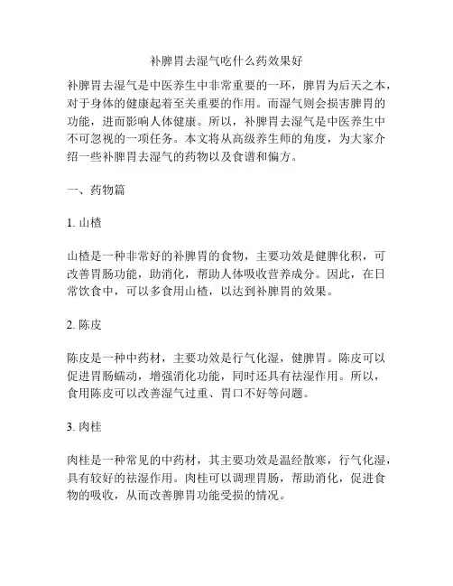 补脾胃去湿气吃什么药效果好