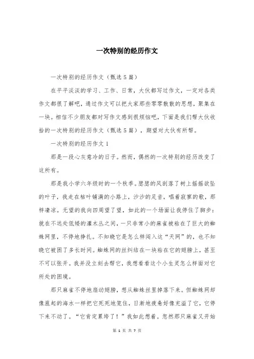 一次特别的经历作文