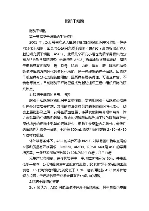 脂肪干细胞