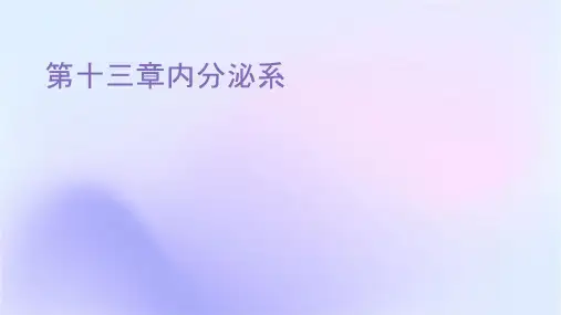 第十三章内分泌系统课件
