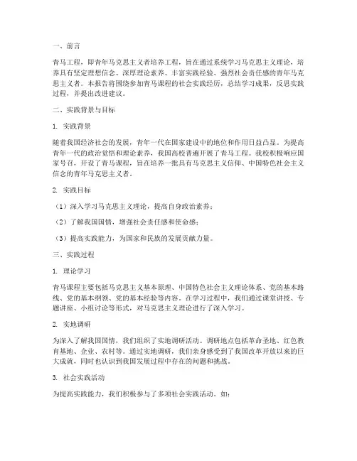 青马课程社会实践报告