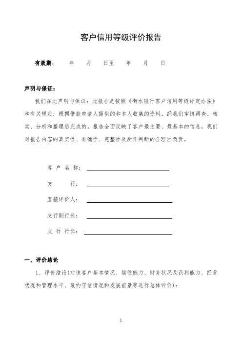 (银行)客户信用等级评价报告 模板