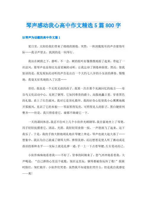 琴声感动我心高中作文精选5篇800字