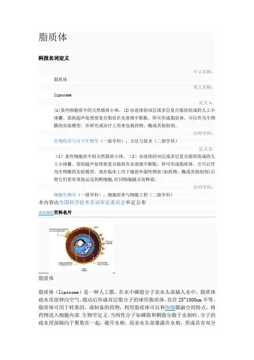 脂质体了解知识