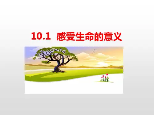 道德与法治七年级上册 10.1 感受生命的意义 课件(共29张PPT)