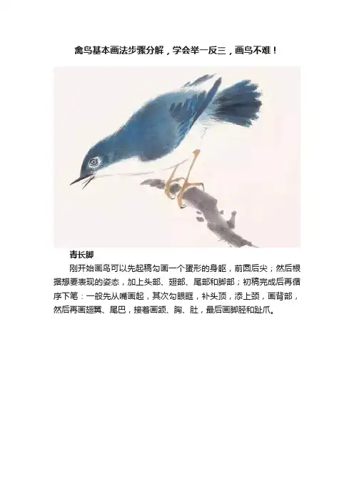 禽鸟基本画法步骤分解，学会举一反三，画鸟不难！