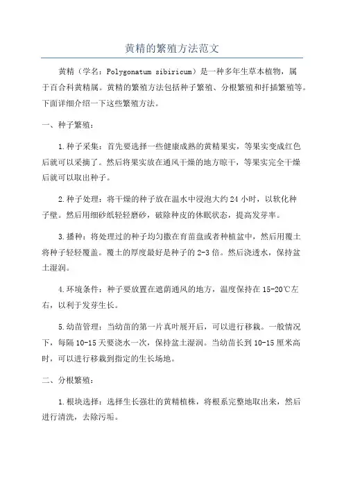 黄精的繁殖方法范文