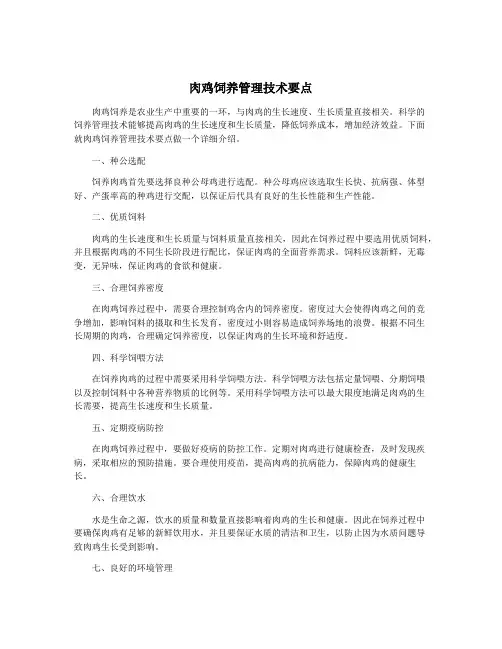 肉鸡饲养管理技术要点