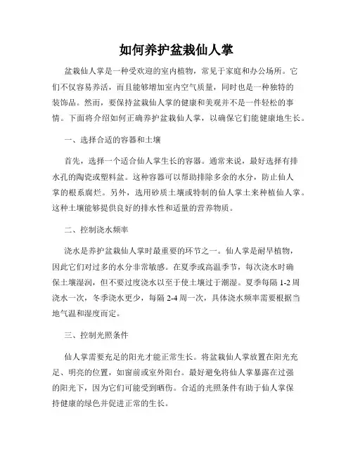 如何养护盆栽仙人掌