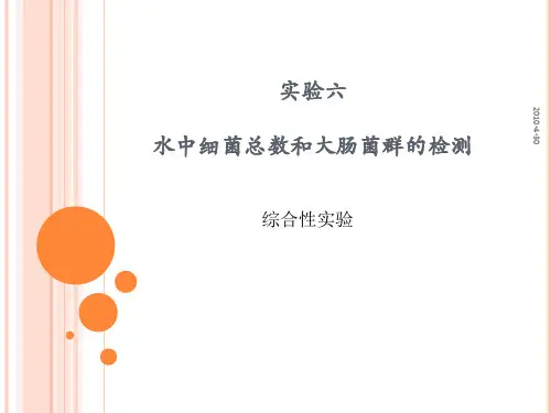 实验六水中细菌总数和大肠菌群的检测