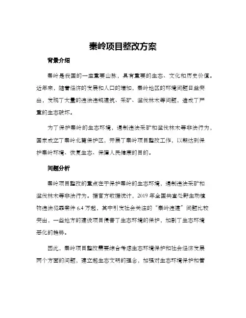秦岭项目整改方案