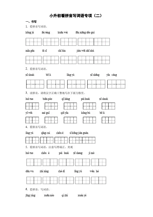 小升初看拼音写词语专练(二)(试题)2022-2023学年语文六年级下册