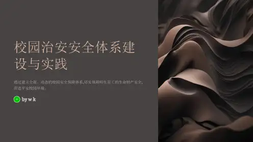 校园治安安全体系建设与实践PPT
