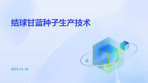 结球甘蓝种子生产技术