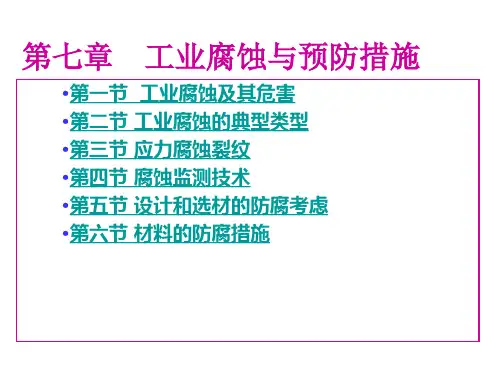 第七章  工业腐蚀和预防措施
