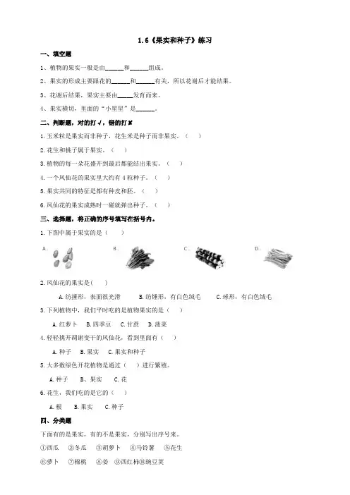 教科版四年级科学下册1.6《果实和种子》作业设计