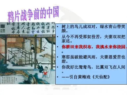 岳麓版高中历史必修二第10课《近代中国社会经济结构的变动》精品课件(共32张PPT)