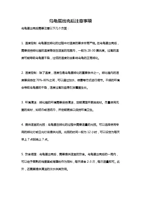 乌龟蛋出壳后注意事项
