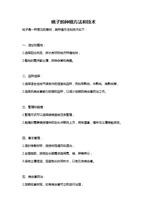 桃子的种植方法和技术
