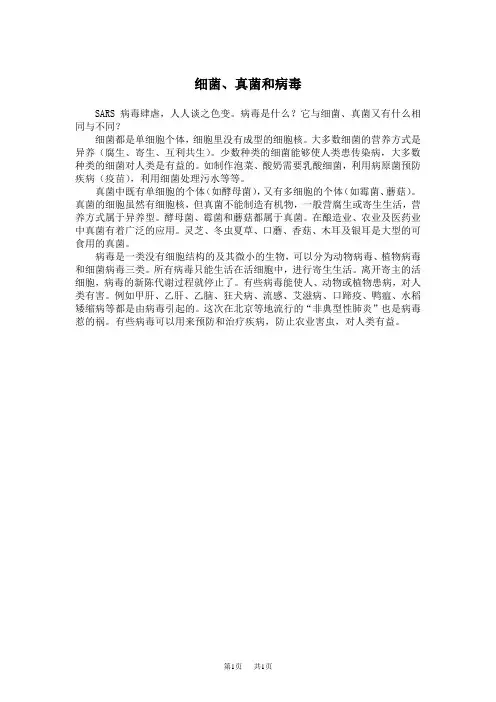 八年级(初二)生物 细菌、真菌和病毒