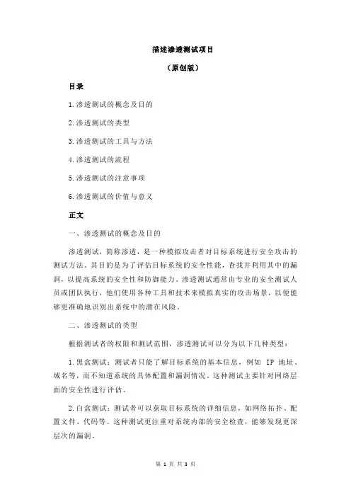 描述渗透测试项目