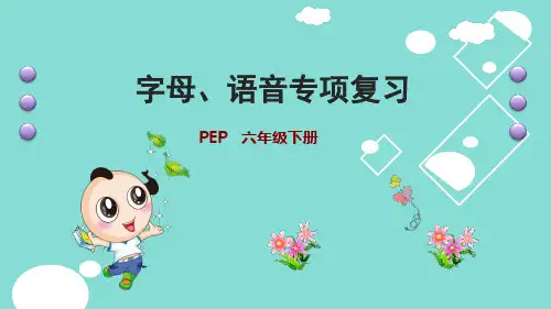 人教版英语小升初语法专项复习课件