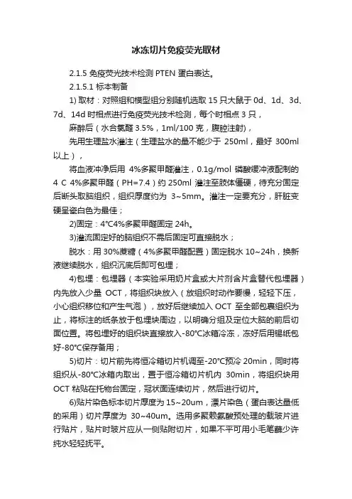冰冻切片免疫荧光取材
