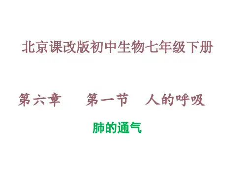 6.1  人的呼吸(第2课时)课件-2023-2024学年京改版生物七年级下册