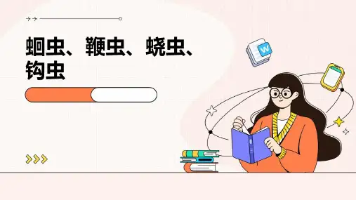 蛔虫鞭虫蛲虫钩虫