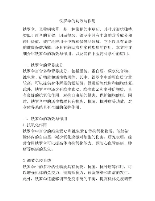 铁罗伞的功效与作用