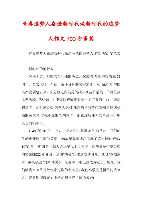 青春追梦人奋进新时代做新时代的追梦人作文700字多篇