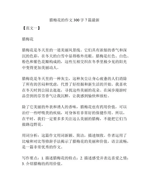 腊梅花的作文300字7篇最新