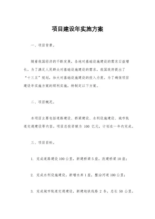 项目建设年实施方案