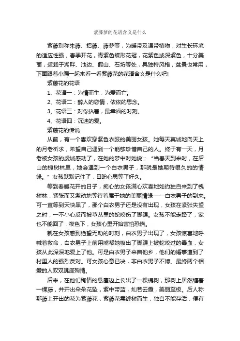 紫藤萝的花语含义是什么_鲜花礼仪_