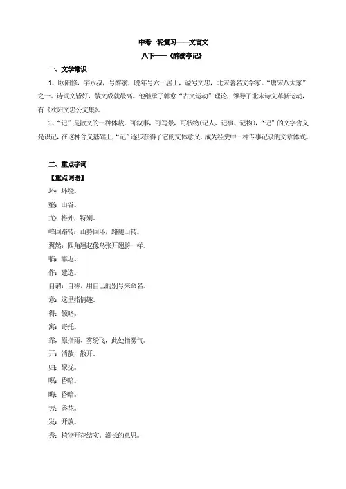 中考语文总复习《醉翁亭记》