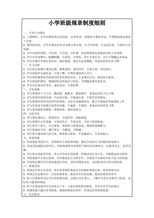 小学班级规章制度细则