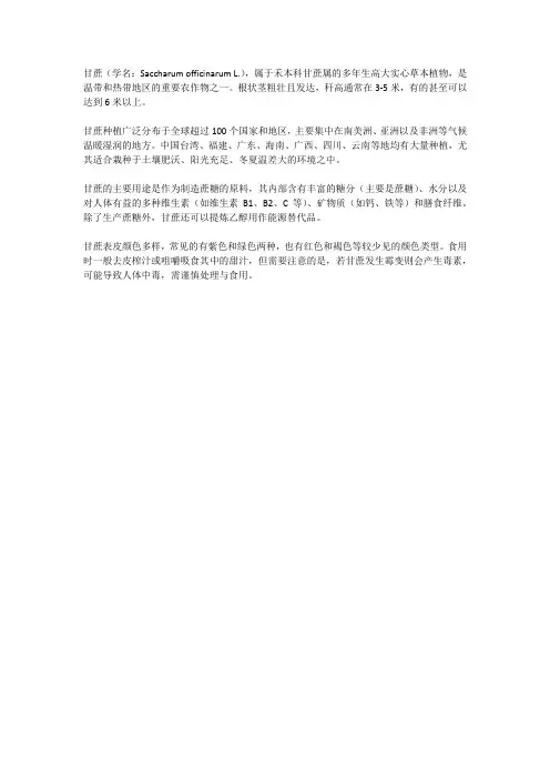 甘蔗的简介