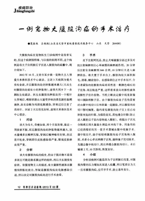 一例宠物犬腹股沟疝的手术治疗