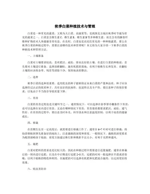 秋季白菜种植技术与管理