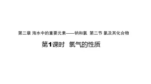 高中化学新教材优质课公开课课件必修一 (1)
