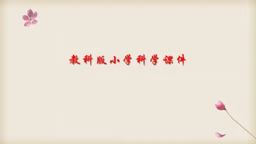 教科版科学小学四年级上册2.5《食物中的营养》(课件)