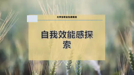 自我效能感探索