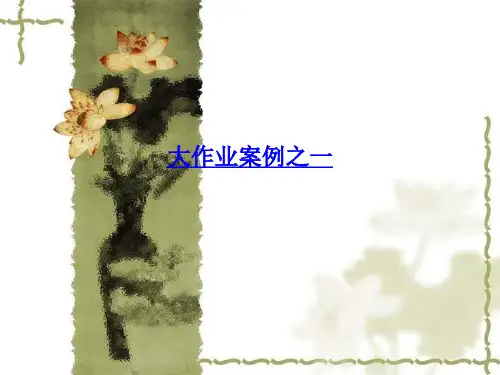 大作业案例之一ppt课件