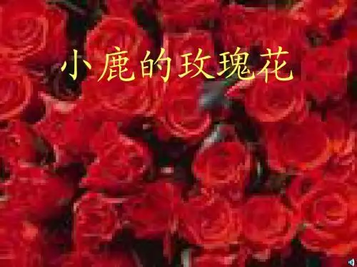 《小鹿的玫瑰花》 公开课 课件 (精品)