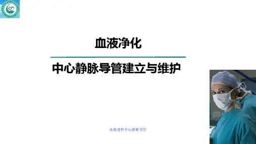 血液透析中心静脉导管