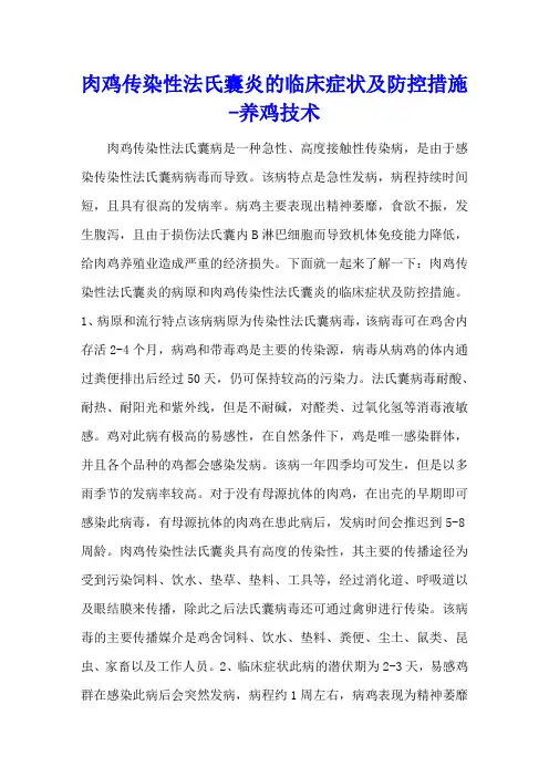 肉鸡传染性法氏囊炎的临床症状及防控措施 - 养鸡技术